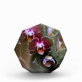 紫の蘭の植物写真モノグラムの フォトブロック (正面)