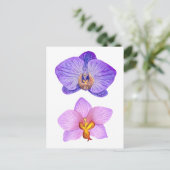 紫の蘭の水の色はがき ポストカード (スタンド正面)