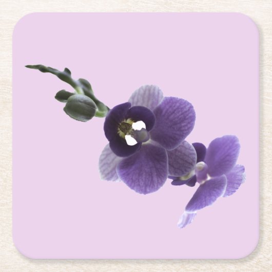 紫の蘭の花、紙コースター スクエアペーパーコースター (正面)