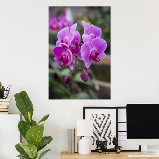 紫の蘭の開花 ポスター (ホームオフィス)