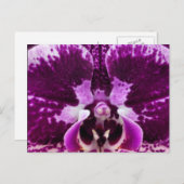 紫の蘭はがき ポストカード (正面/裏面)
