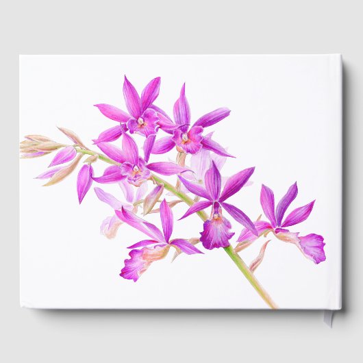 紫の蘭フローラ水彩植物結婚の ゲストブック (裏面)