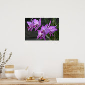 紫の蘭 ポスター (キッチン)