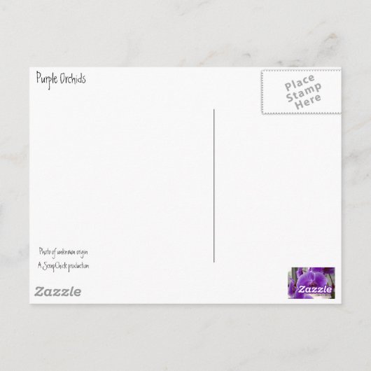 紫の蘭 ポストカード (裏面)