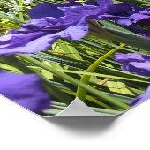 紫の虹彩と青空のポスター ポスター (角)