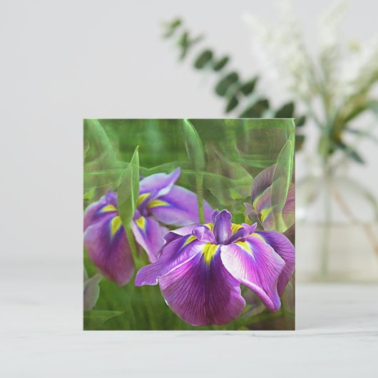 紫の虹彩の動考えき – の皆さん (スタンド正面)