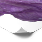 紫の虹彩写真 ポスター (角)