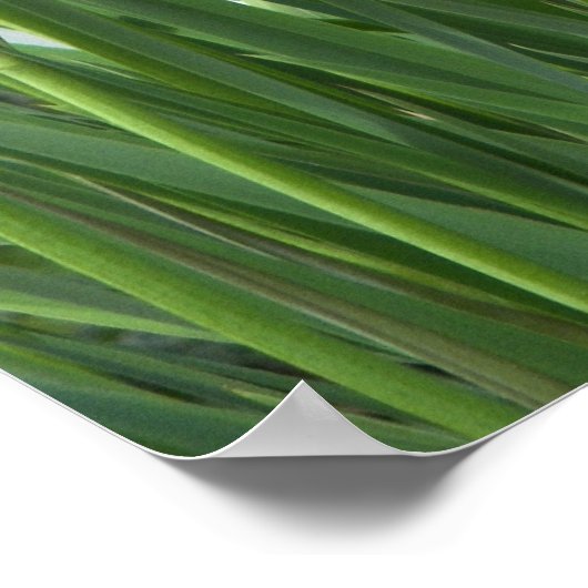 紫の虹彩写真 ポスター (角)