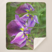 紫の虹彩 シェルパブランケット (正面)