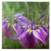 紫の虹彩 タイル (正面)