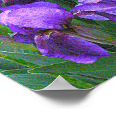 紫の虹彩 ポスター (角)