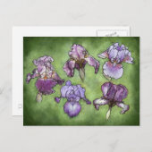 紫の虹彩 ポストカード (正面/裏面)