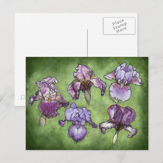 紫の虹彩 ポストカード (正面/裏面)
