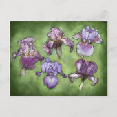 紫の虹彩 ポストカード (正面)