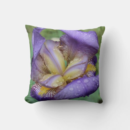 紫の虹彩(Iris Germanica) クッション (正面)