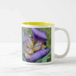 紫の虹彩(Iris Germanica) ツートーンマグカップ