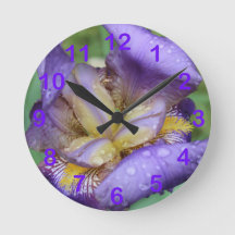 紫の虹彩(Iris Germanica)