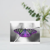 紫の蝶 ポストカード (スタンド正面)