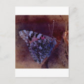 紫の蝶 ポストカード (正面)