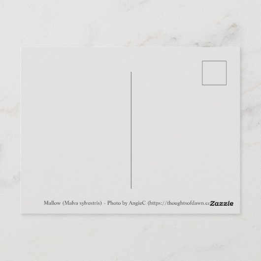 紫の許可フローラはがき ポストカード (裏面)