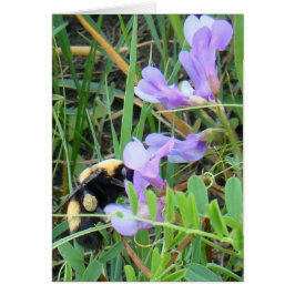 紫の野の花に止まるF2ビー