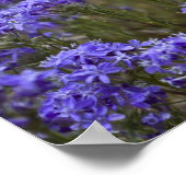 紫の野花のポスター2 ポスター (角)