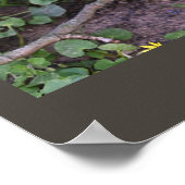 紫の野花のポスター ポスター (角)