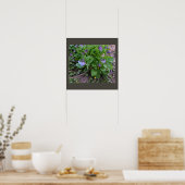 紫の野花のポスター ポスター (キッチン)