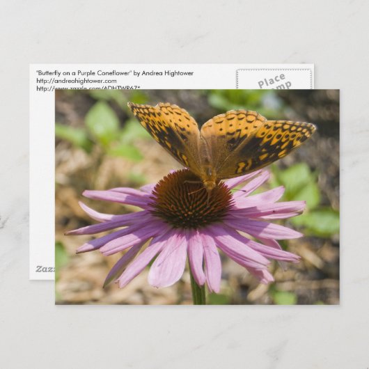 紫の針葉樹に蝶 ポストカード (正面/裏面)