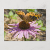 紫の針葉樹に蝶 ポストカード (正面)