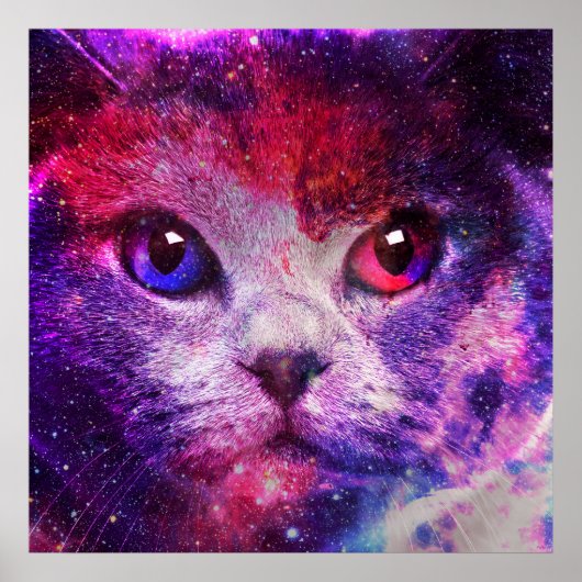 紫の銀河猫  ポスター (正面)