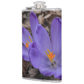 紫の開花林クロッカス フラスク (左)