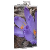 紫の開花林クロッカス フラスク (右)