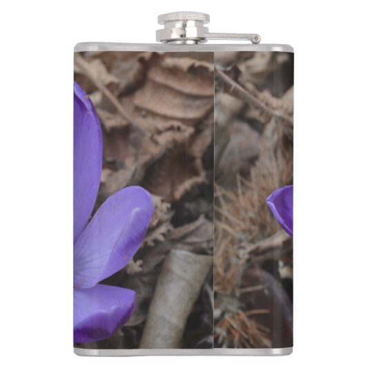 紫の開花林クロッカス フラスク (裏面)