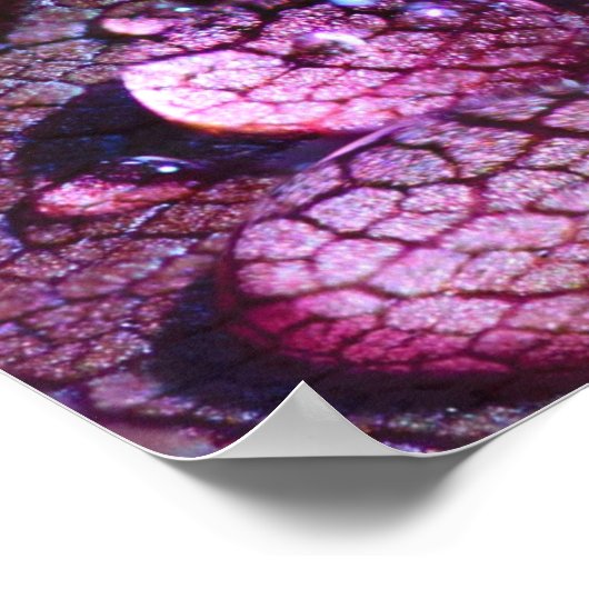 紫の雨ポスター ポスター (角)