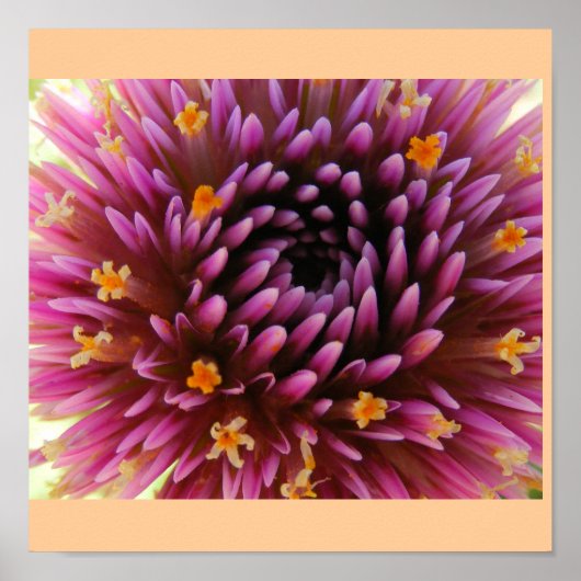 紫の霞 ポスター (正面)