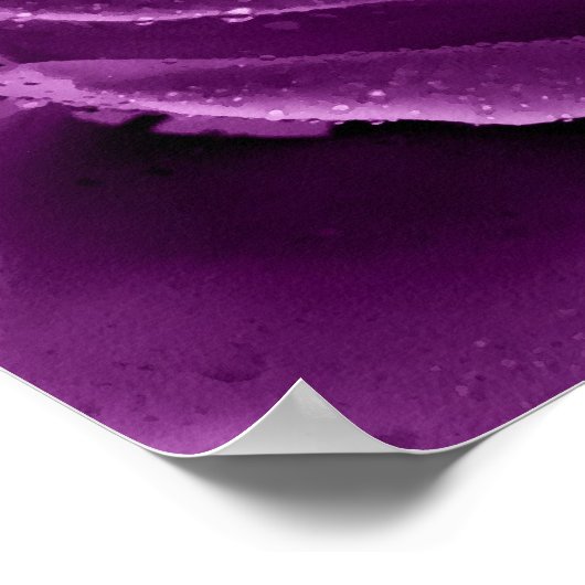 紫の霞 ポスター (角)