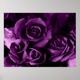 紫の霞 ポスター