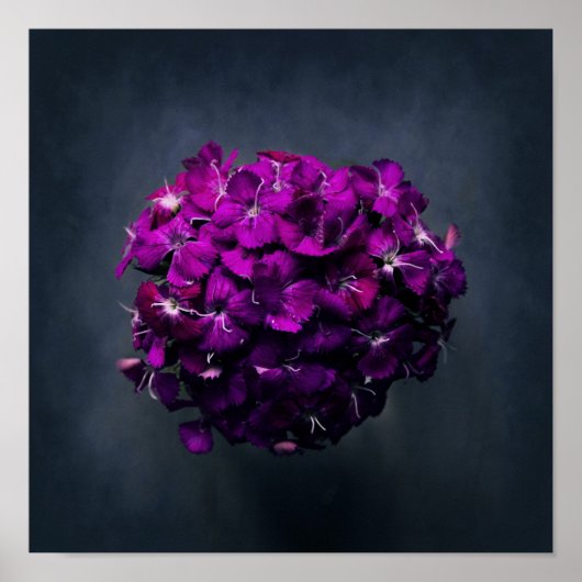 紫の鮮やかフローラ写真 ポスター (正面)