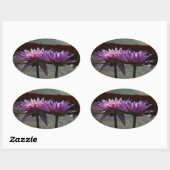 紫の《植物》スイレンシール 楕円形シール (シート)