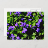 紫はがき ポストカード (正面/裏面)