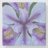 紫ひげ無アイリスフローラ ストーンコースター (正面)