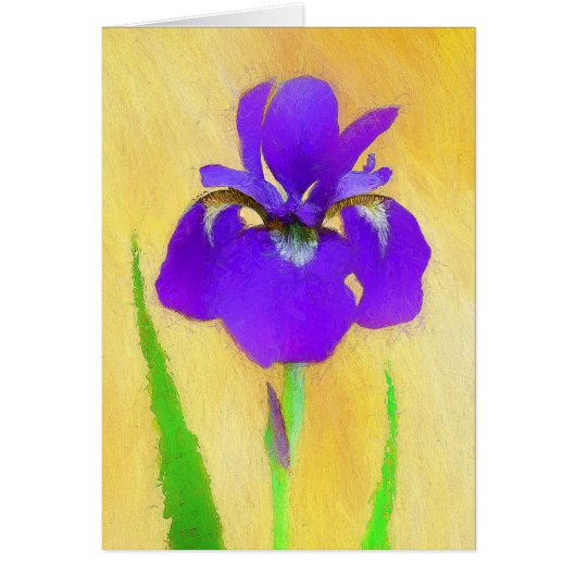 紫ひげ絵画ひげ虹彩の – かわいいオリジナル犬A (正面)