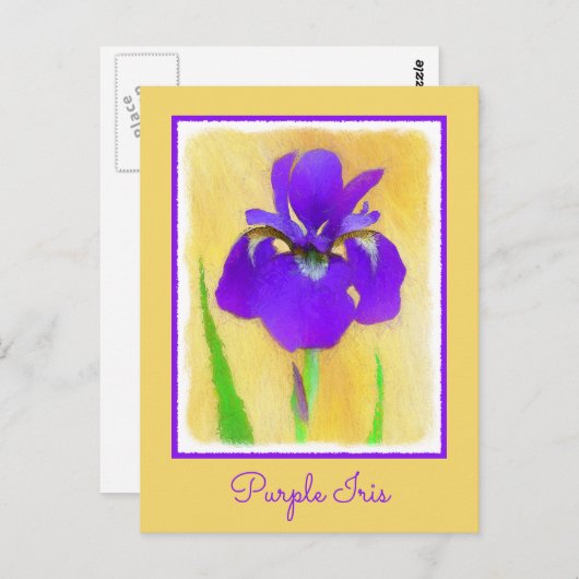 紫ひげ絵画ひげ虹彩の – かわいいオリジナル犬A ポストカード (正面/裏面)