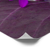 紫ひまわりポスター ポスター (角)