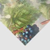 紫ぶら下がったの霧の葡萄 薄葉紙 (詳細)