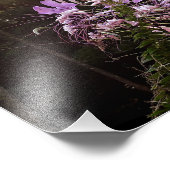 紫まぶし フォトプリント            (角)