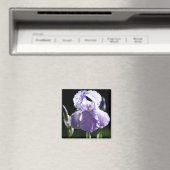 紫アイリス8393磁石 マグネット (インサイチュ (食洗機))
