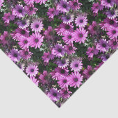 紫アフリカデイジー花自然模様 薄葉紙 (詳細)