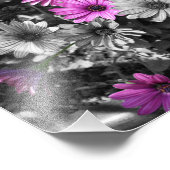 紫アフリカデイジー花部分色8 x 10 フォトプリント            (角)